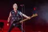 Green Day, by Dan DeSlover